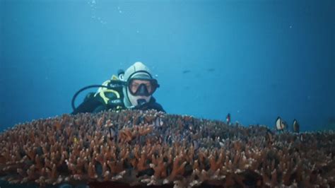 Ocean Odyssey! A Deep Dive into Underwater Conservation and Exploration